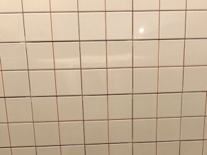 IRIS BLANCO TACO 20X20 PASICOS RECERCASA